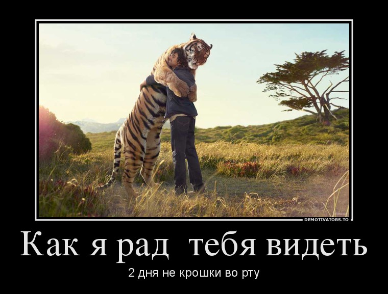 Как я рад  тебя видеть