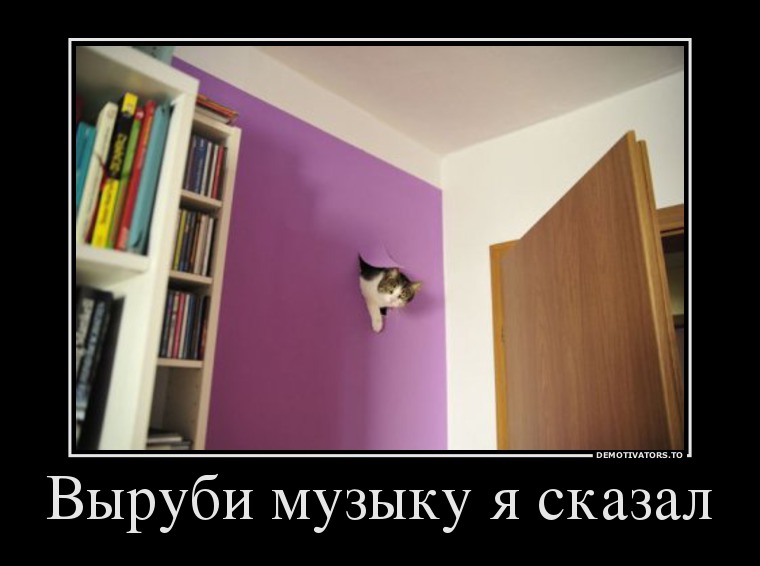 Выруби музыку я сказал