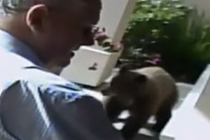 Видео нарезка неудач