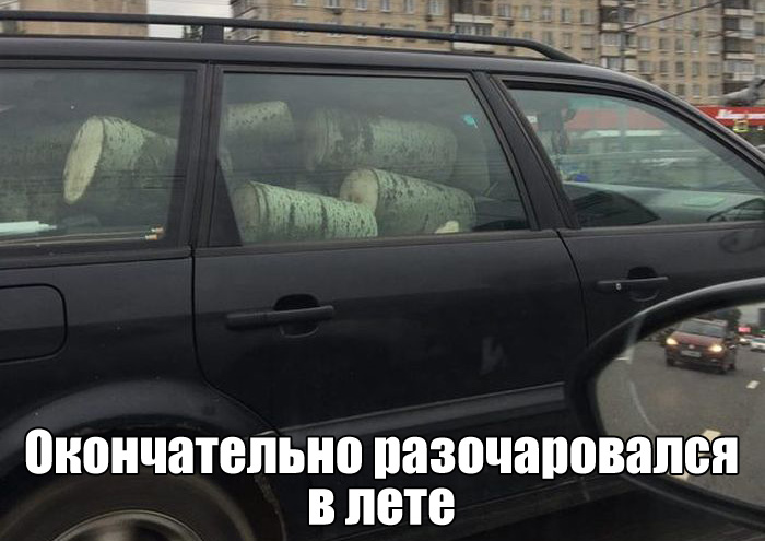 Подборка прикольных фото №1634 (105 фото)