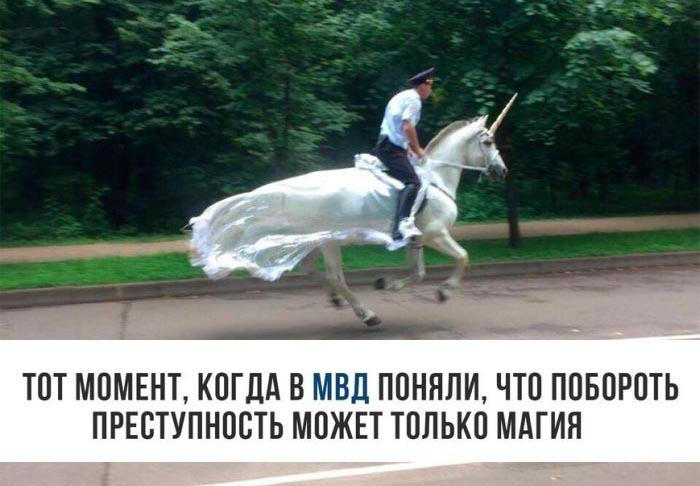 Подборка прикольных фото №1667 (114 фото)