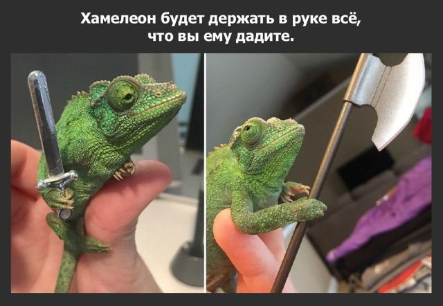 Подборка прикольных фото №1785 (113 фото)