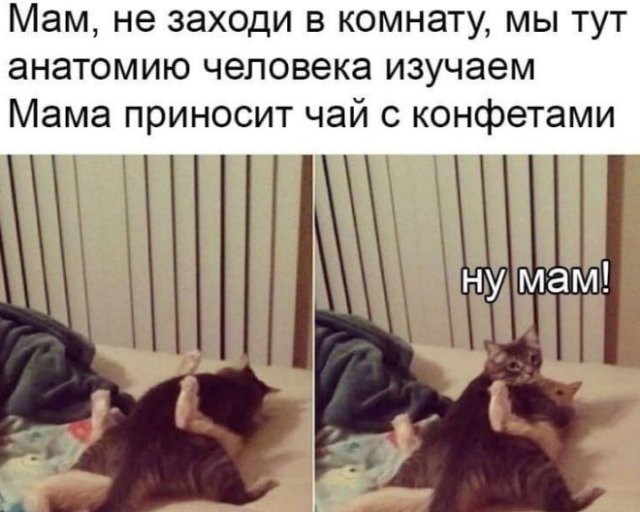 Мемы и приколы про "это" (15 фото)