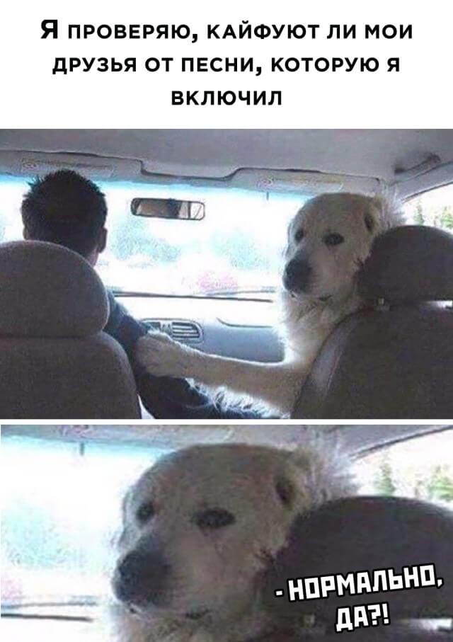 Подборка прикольных фото №2453 (63 фото)