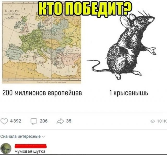 Жесткий и черный юмор (15 фото)