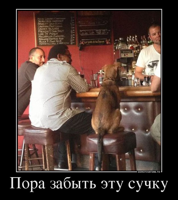 Пора забыть эту сучку
