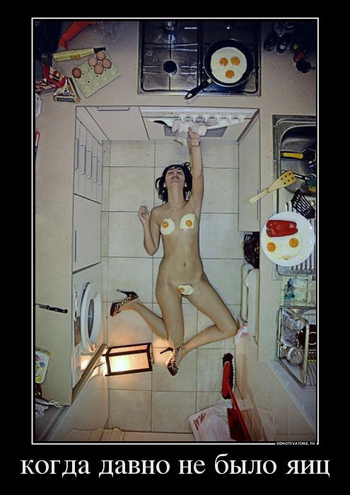 когда давно не было яиц
