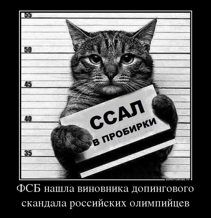 ФСБ нашла виновника допингового скандала российских олимпийцев